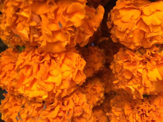 Marigold garlands